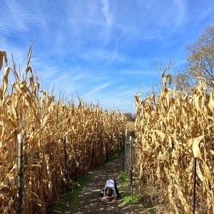 Meet your Posher, Claire